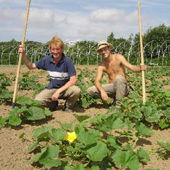 An original jardin de Cocagne... 9355,raw,cocagne.jpg