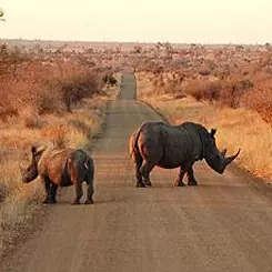 Les populations locales, acteurs de la protection de la biodiversité 9384,raw,Sans-titre-1.jpg