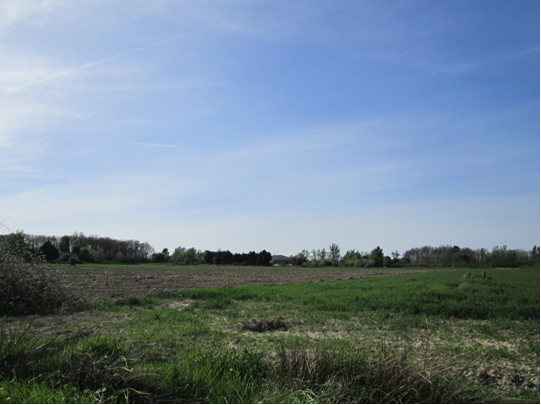 A young back-to-work garden, promising and responsible 9494,raw,12SE1579-Les-jardins-de-Las-Planes.png