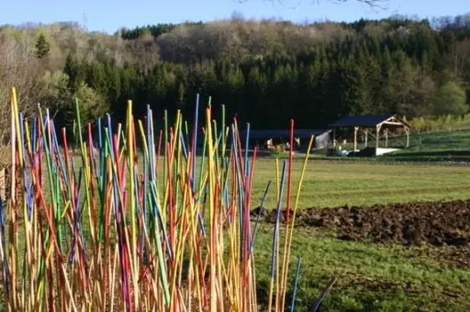 Art et culture pour la ferme pédagogique de l'ESAT de La Ferme de Chosal 9504,raw,AAPEI-D_ANNECY.jpg