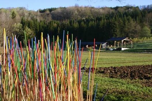 Art and culture for the ESAT educational farm La Ferme de Chosal 9504,raw,AAPEI-D_ANNECY.jpg