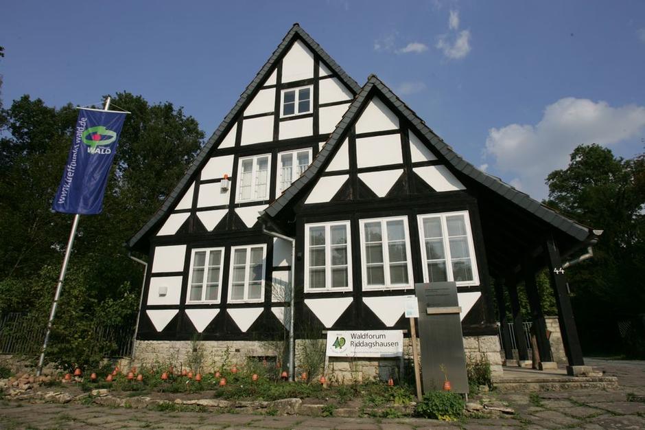 The nonprofit Bürgerschaft Riddagshausen mit Freundeskreis e.V. is converting the Entenfang house into a nature discovery center 9509,raw,1569_waldforum1.jpg