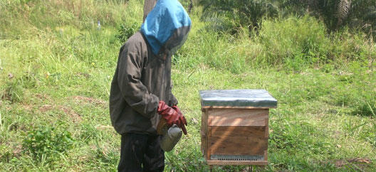 Helping the people of Togo make better use of 3000 hectares 9609,raw,uicnTogo.jpg