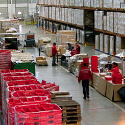 ARES: developing a new activity in logistics and reinforcing back-to-work projects 9613,raw,12SE1602-LOGINS-1_credit-Ce.jpg