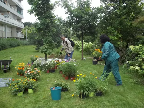 More ecological tools for better trained professionals 9663,raw,HALAGE-projet.jpg