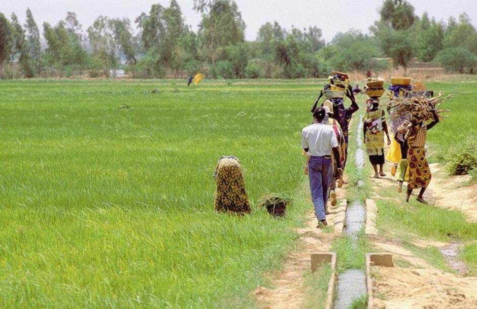 Increase the autonomy of the Malian population