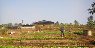 Développer l’agriculture chez les Karens
