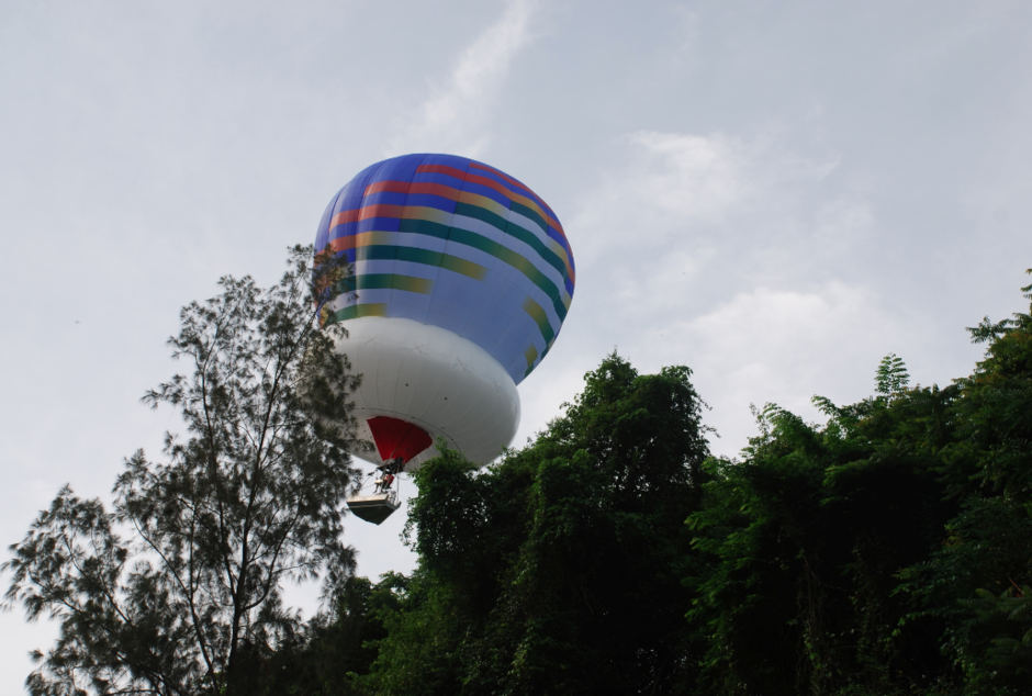 Arboglisseur