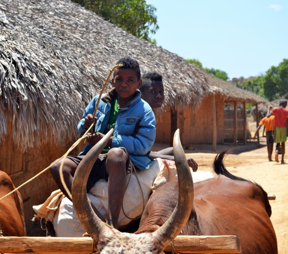 De l’électricité pour tous dans les zones rurales malgaches