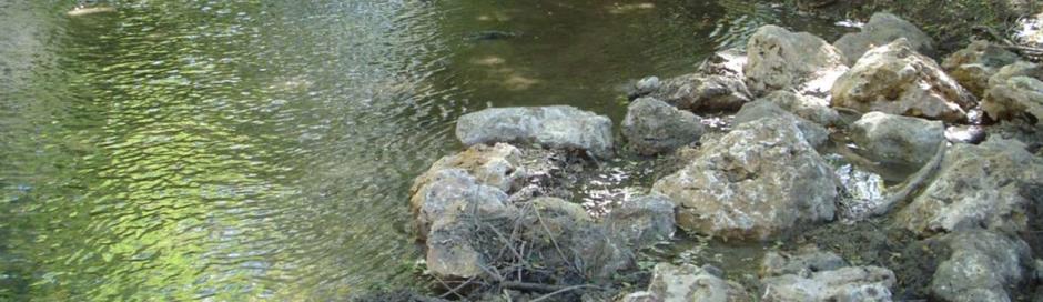 Fédération du Var pour la pêche et la protection du milieu aquatique
