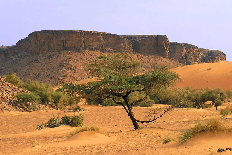 Adrar, Mauritanie | Photo Emmanuel Brunner / Manu25 | Janvier 2007