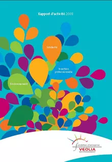 Rapport d'activité 2008