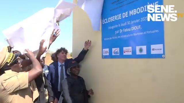 Une écloserie inaugurée à Mbodiène pour faire de l’aquaculture une filière d’avenir